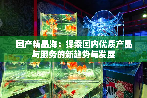 国产精品海：探索国内优质产品与服务的新趋势与发展