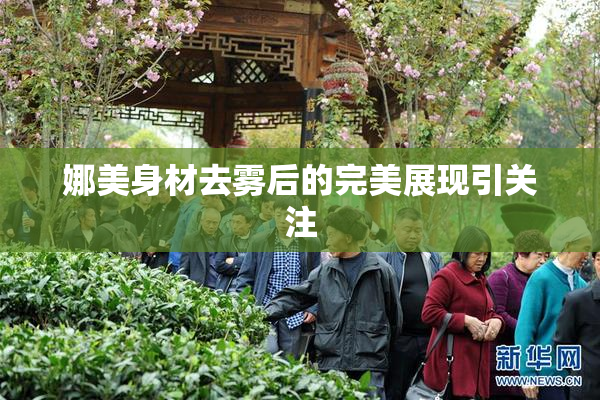 娜美身材去雾后的完美展现引关注
