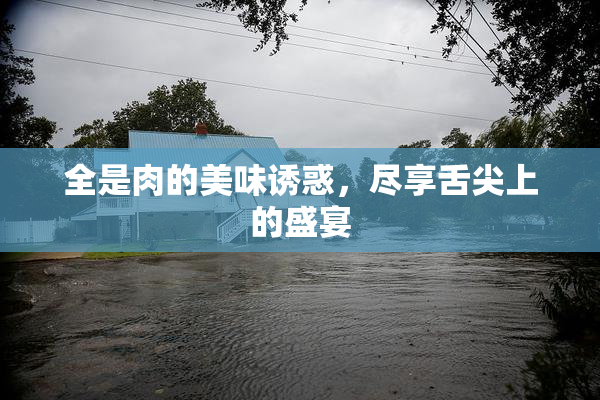 全是肉的美味诱惑，尽享舌尖上的盛宴