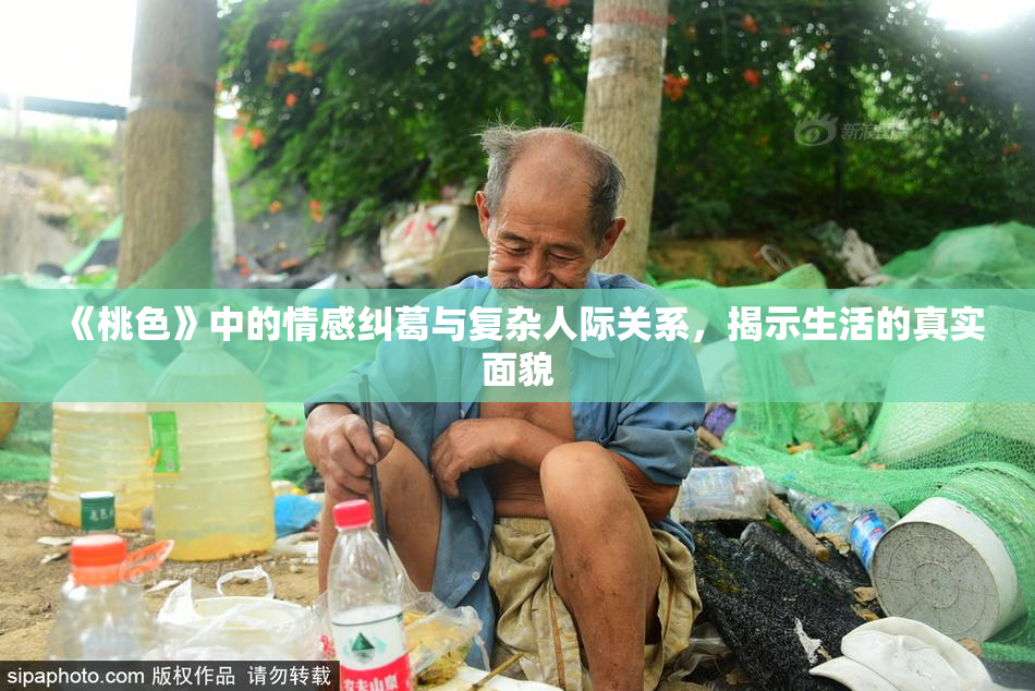 《桃色》中的情感纠葛与复杂人际关系，揭示生活的真实面貌