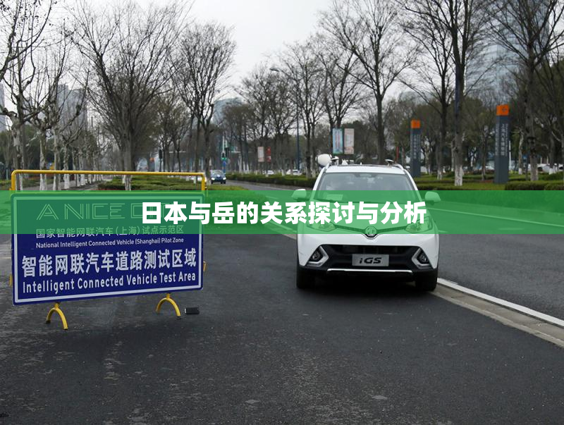日本与岳的关系探讨与分析