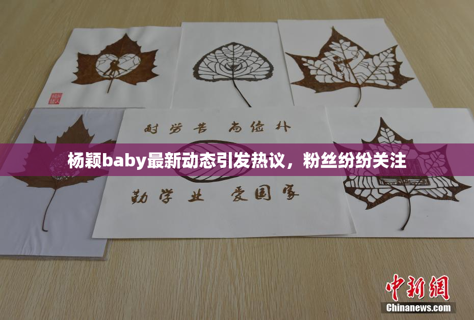 杨颖baby最新动态引发热议，粉丝纷纷关注