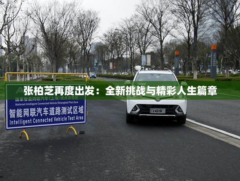 张柏芝再度出发：全新挑战与精彩人生篇章