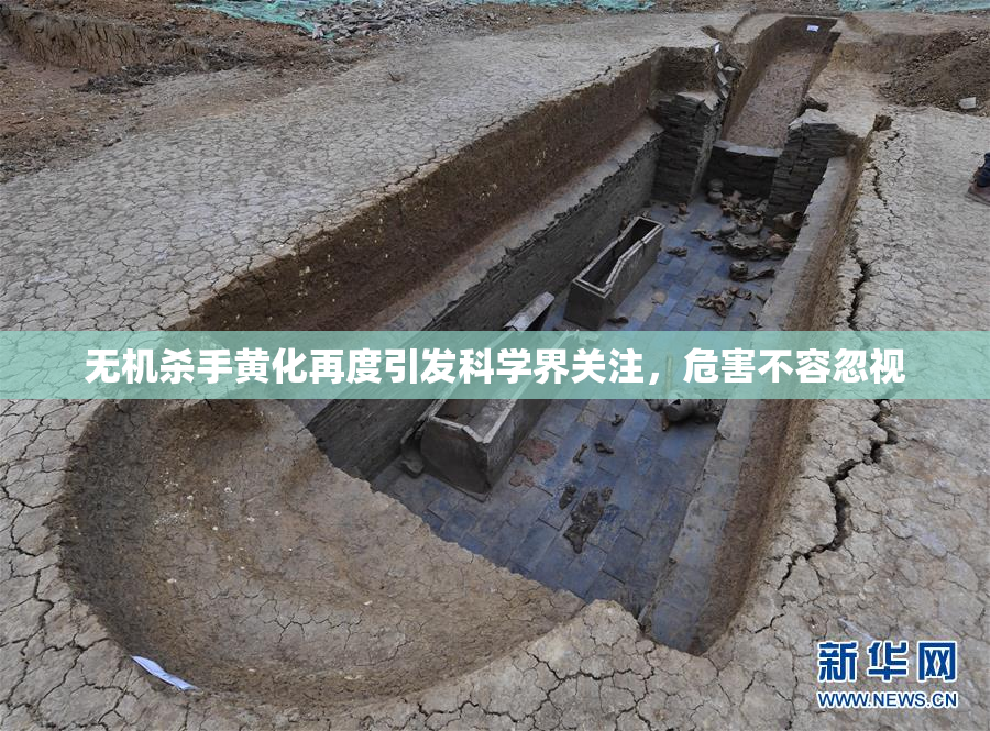 无机杀手黄化再度引发科学界关注，危害不容忽视