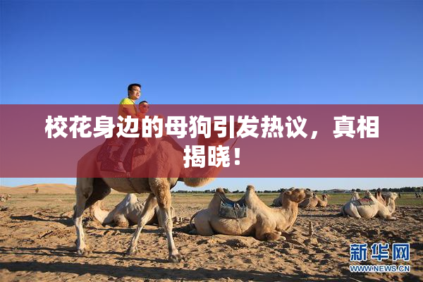校花身边的母狗引发热议，真相揭晓！