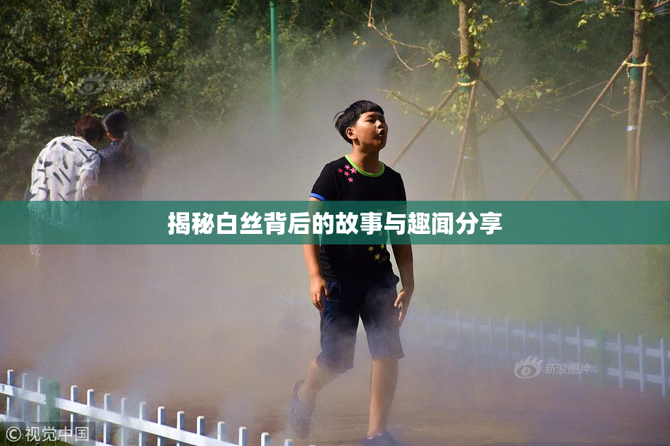 揭秘白丝背后的故事与趣闻分享