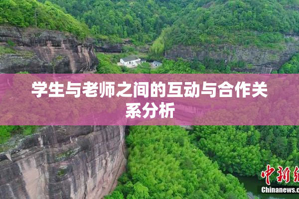 学生与老师之间的互动与合作关系分析