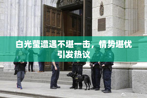 白光莹遭遇不堪一击，情势堪忧引发热议