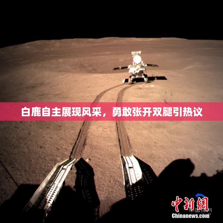 白鹿自主展现风采，勇敢张开双腿引热议