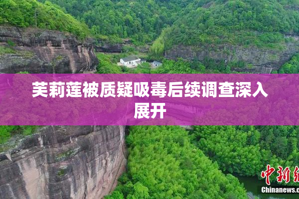 芙莉莲被质疑吸毒后续调查深入展开