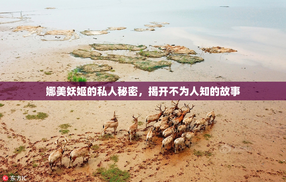 娜美妖姬的私人秘密，揭开不为人知的故事