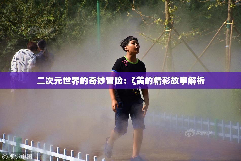 二次元世界的奇妙冒险：ζ黄的精彩故事解析