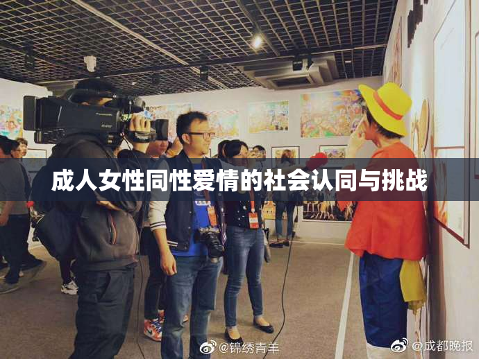 成人女性同性爱情的社会认同与挑战