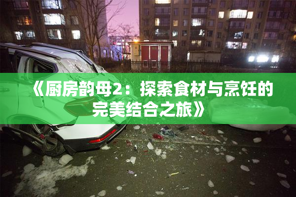 《厨房韵母2：探索食材与烹饪的完美结合之旅》