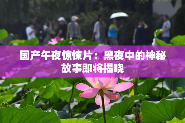 国产午夜惊悚片：黑夜中的神秘故事即将揭晓