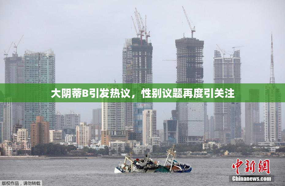 大阴蒂B引发热议，性别议题再度引关注