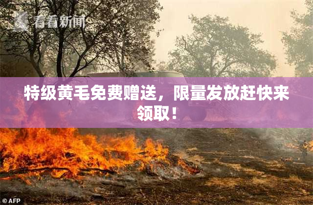特级黄毛免费赠送，限量发放赶快来领取！