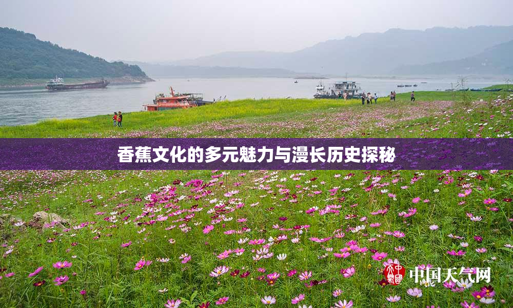 香蕉文化的多元魅力与漫长历史探秘