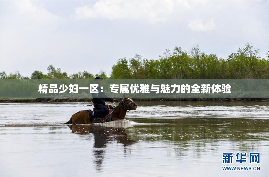 精品少妇一区：专属优雅与魅力的全新体验