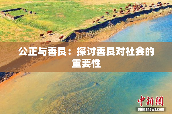 公正与善良：探讨善良对社会的重要性