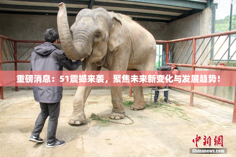 重磅消息：51震撼来袭，聚焦未来新变化与发展趋势！