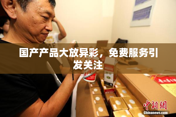 国产产品大放异彩，免费服务引发关注