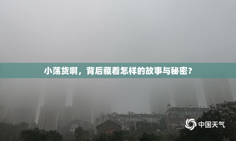 小荡货啊，背后藏着怎样的故事与秘密？