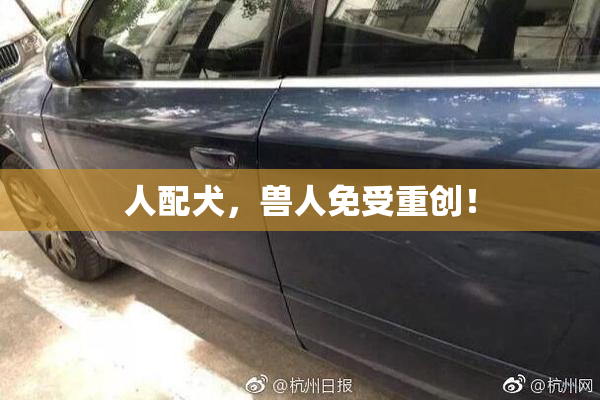 人配犬，兽人免受重创！