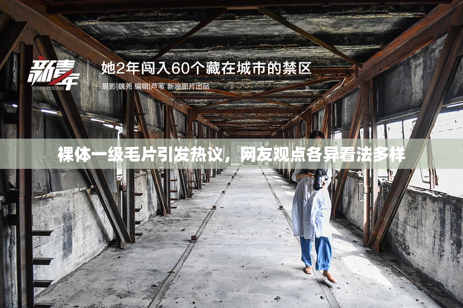 裸体一级毛片引发热议，网友观点各异看法多样