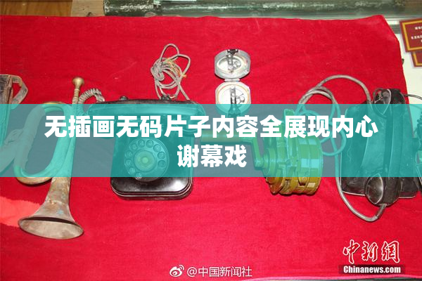 无插画无码片子内容全展现内心谢幕戏