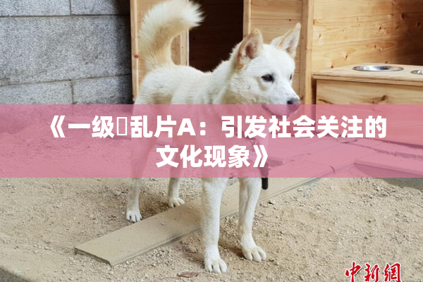 《一级婬乱片A：引发社会关注的文化现象》