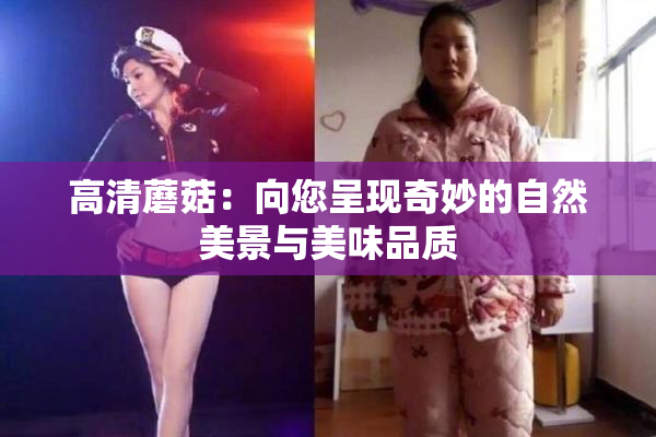 高清蘑菇：向您呈现奇妙的自然美景与美味品质