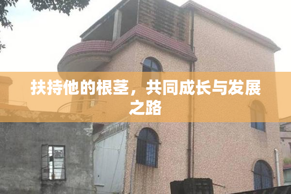 扶持他的根茎，共同成长与发展之路