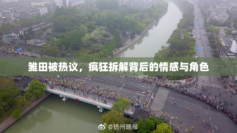 雏田被热议，疯狂拆解背后的情感与角色