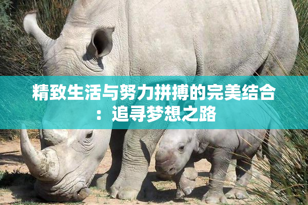 精致生活与努力拼搏的完美结合：追寻梦想之路