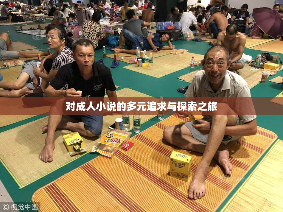 对成人小说的多元追求与探索之旅
