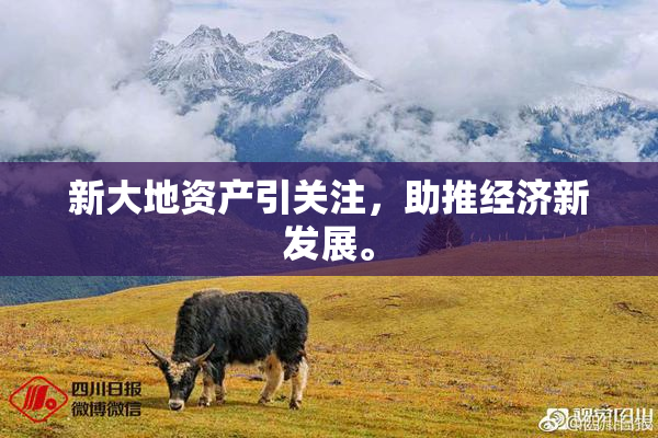 新大地资产引关注，助推经济新发展。