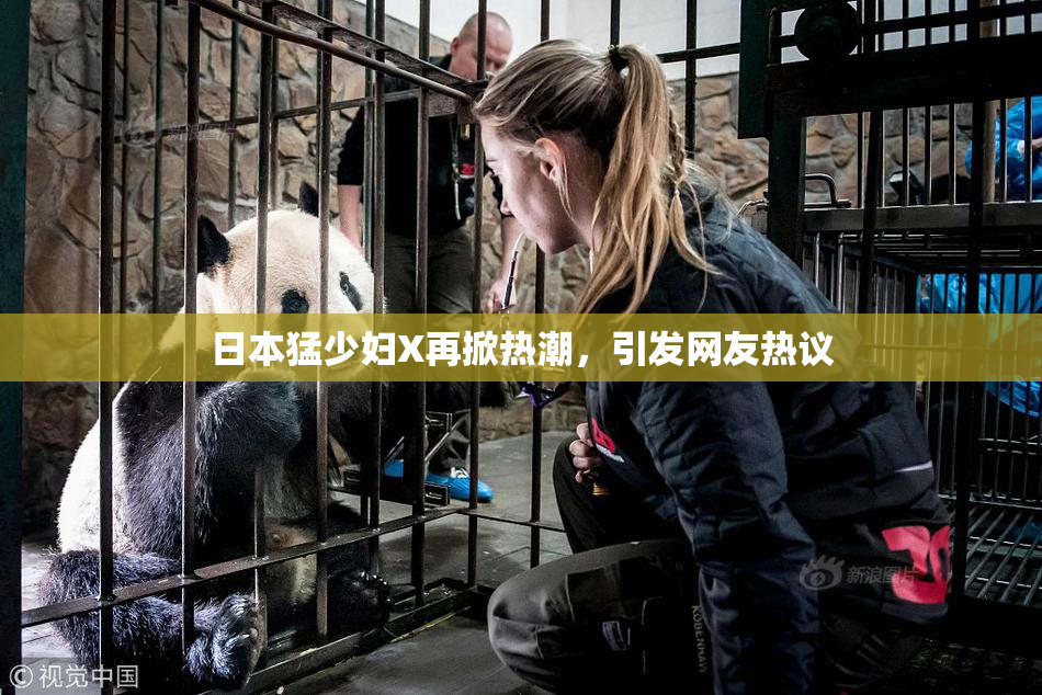 日本猛少妇X再掀热潮，引发网友热议