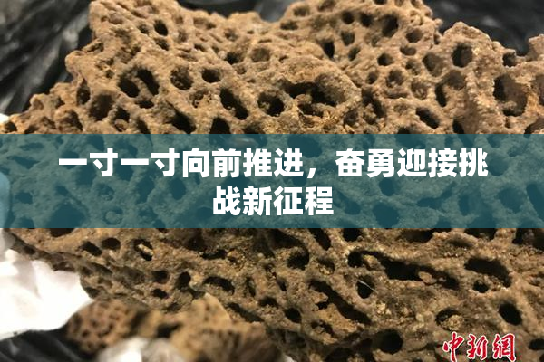 一寸一寸向前推进，奋勇迎接挑战新征程