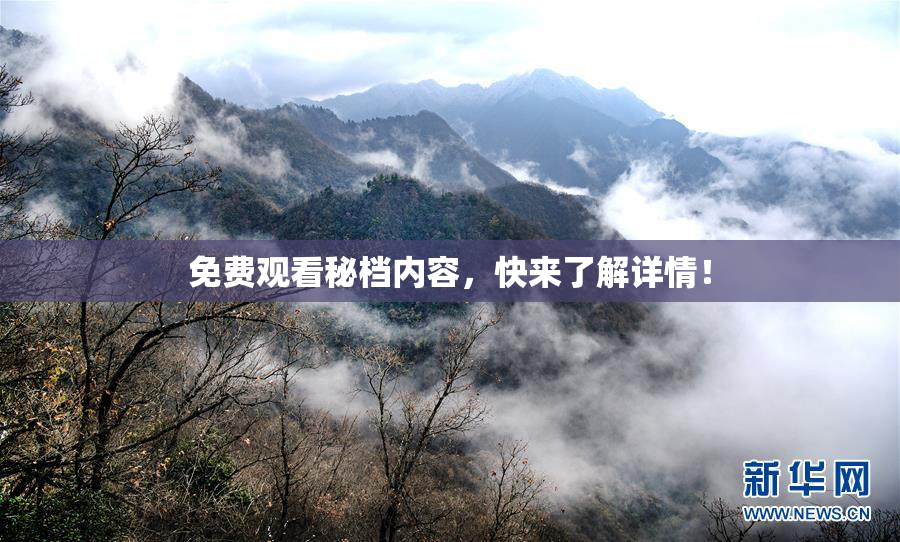 免费观看秘档内容，快来了解详情！