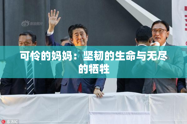 可怜的妈妈：坚韧的生命与无尽的牺牲