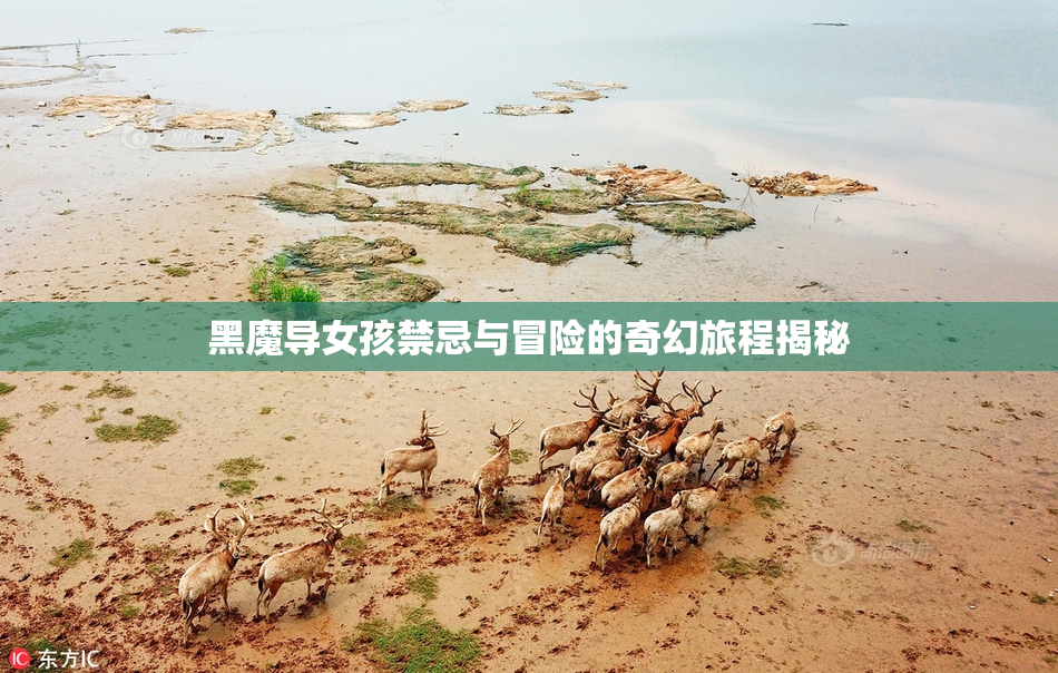 黑魔导女孩禁忌与冒险的奇幻旅程揭秘