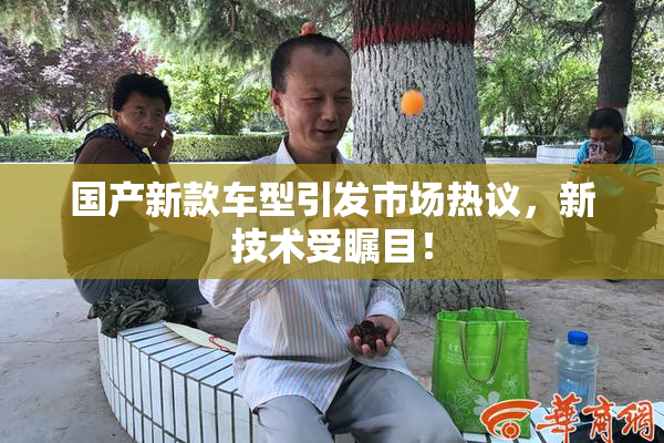 国产新款车型引发市场热议，新技术受瞩目！