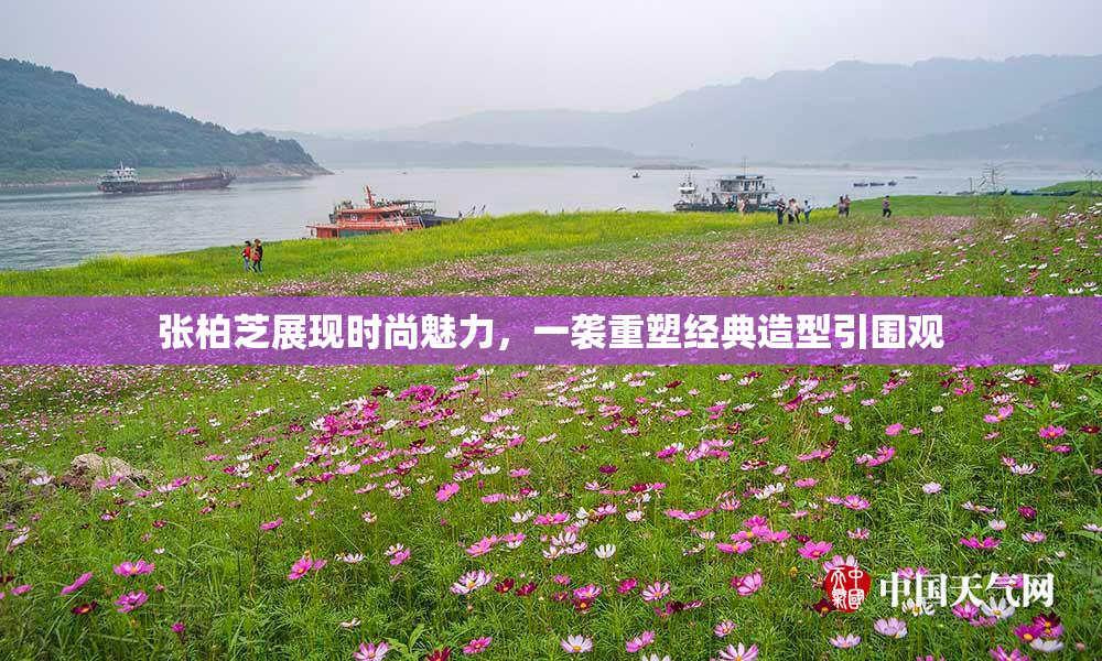 张柏芝展现时尚魅力，一袭重塑经典造型引围观