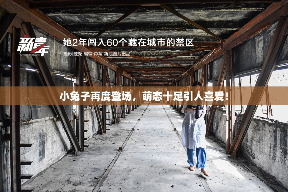小兔子再度登场，萌态十足引人喜爱！