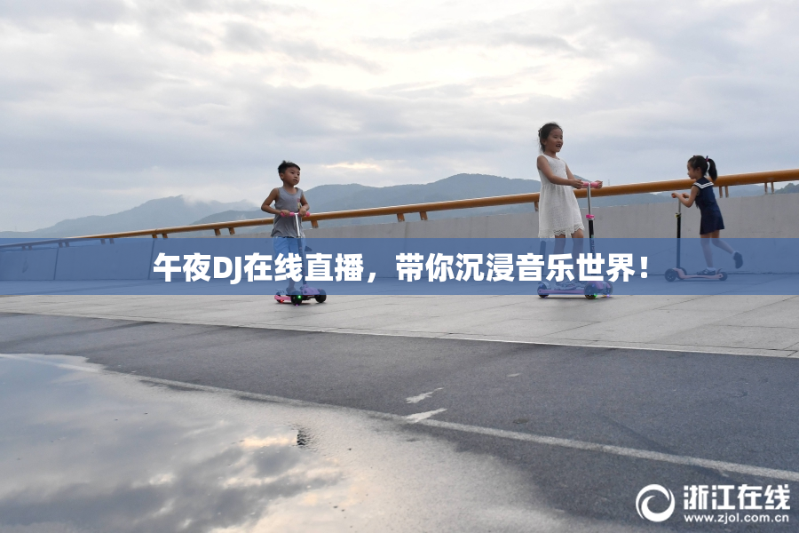 午夜DJ在线直播，带你沉浸音乐世界！