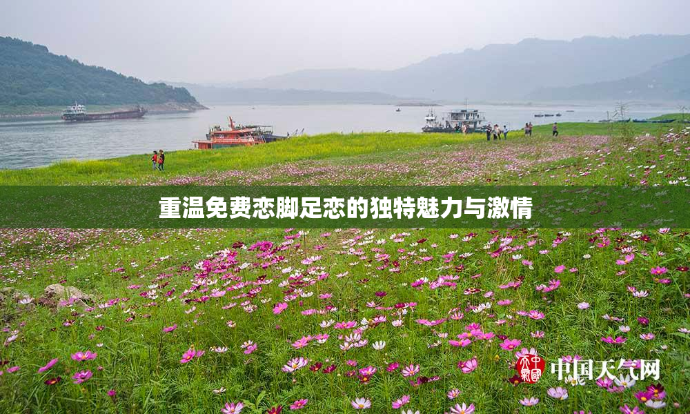 重温免费恋脚足恋的独特魅力与激情