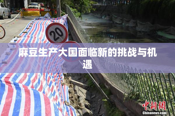 麻豆生产大国面临新的挑战与机遇