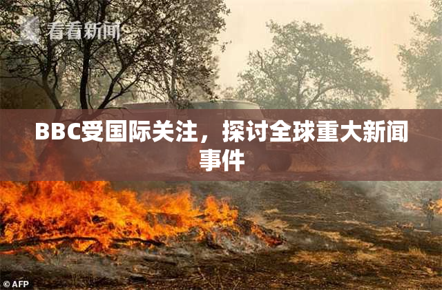 BBC受国际关注，探讨全球重大新闻事件