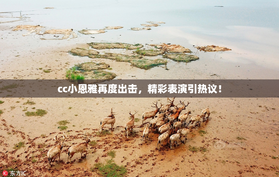 cc小恩雅再度出击，精彩表演引热议！